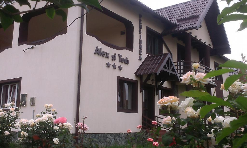 הורזו Pensiunea Alex Si Tedi מראה חיצוני תמונה